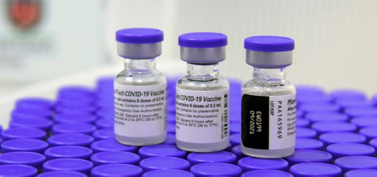 Governo libera vacina contra Covid-19 em crianças a partir de 6 meses