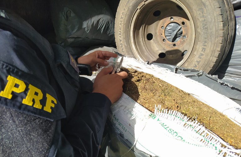 PRF recupera veículo roubado que estava transportando mais de 500 kg de maconha in natura