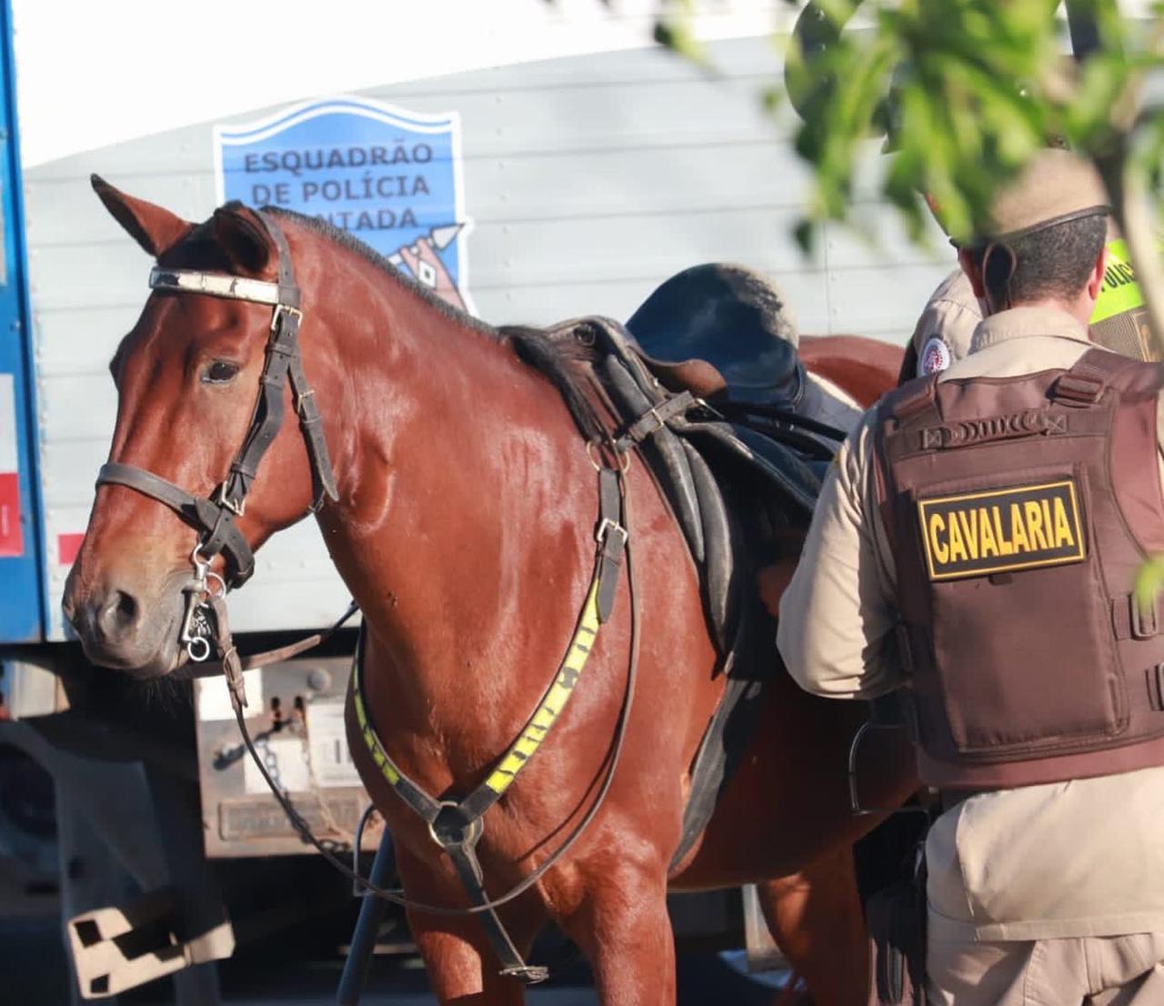 Curso de Socorrismo Equino é promovido para Cavalaria de Feira de Santana
