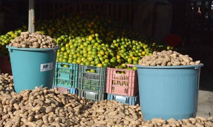 Procon divulga pesquisa de preços dos produtos típicos juninos