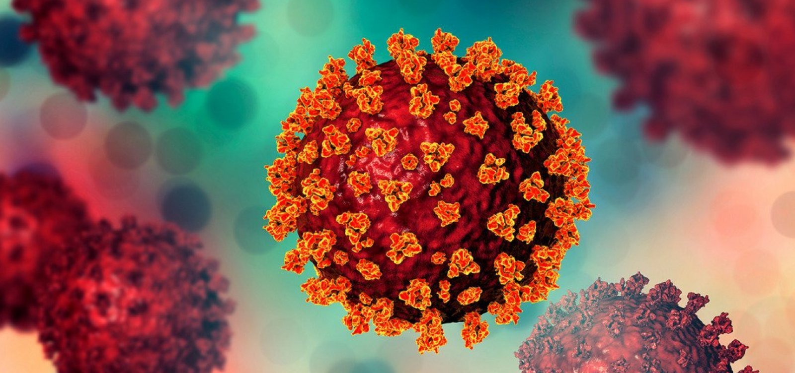 OMS vai atualizar lista de vírus e bactérias que podem provocar nova pandemia