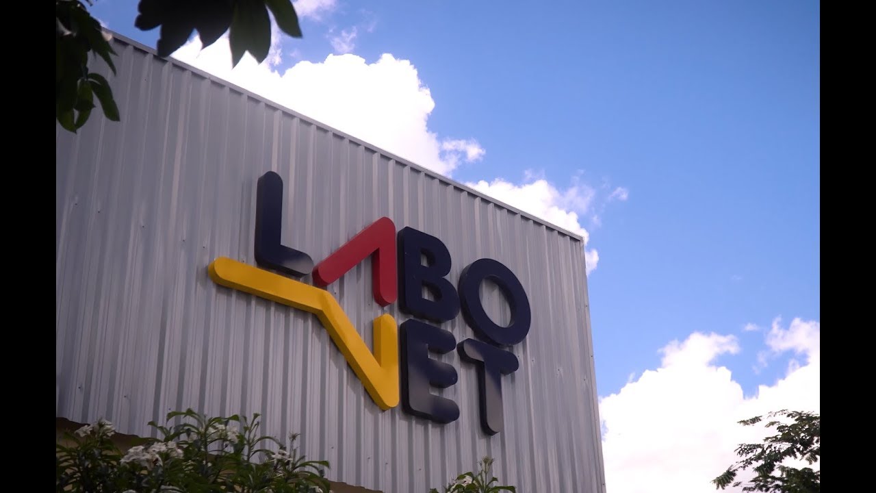 Labovet: De origem feirense, empresa inova no segmento veterinário