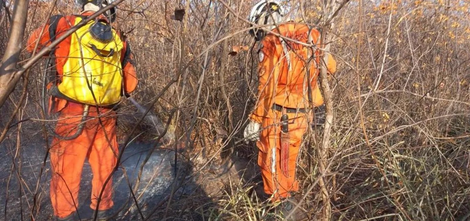 Bombeiros reforçam ação para conter incêndios no estado da Bahia