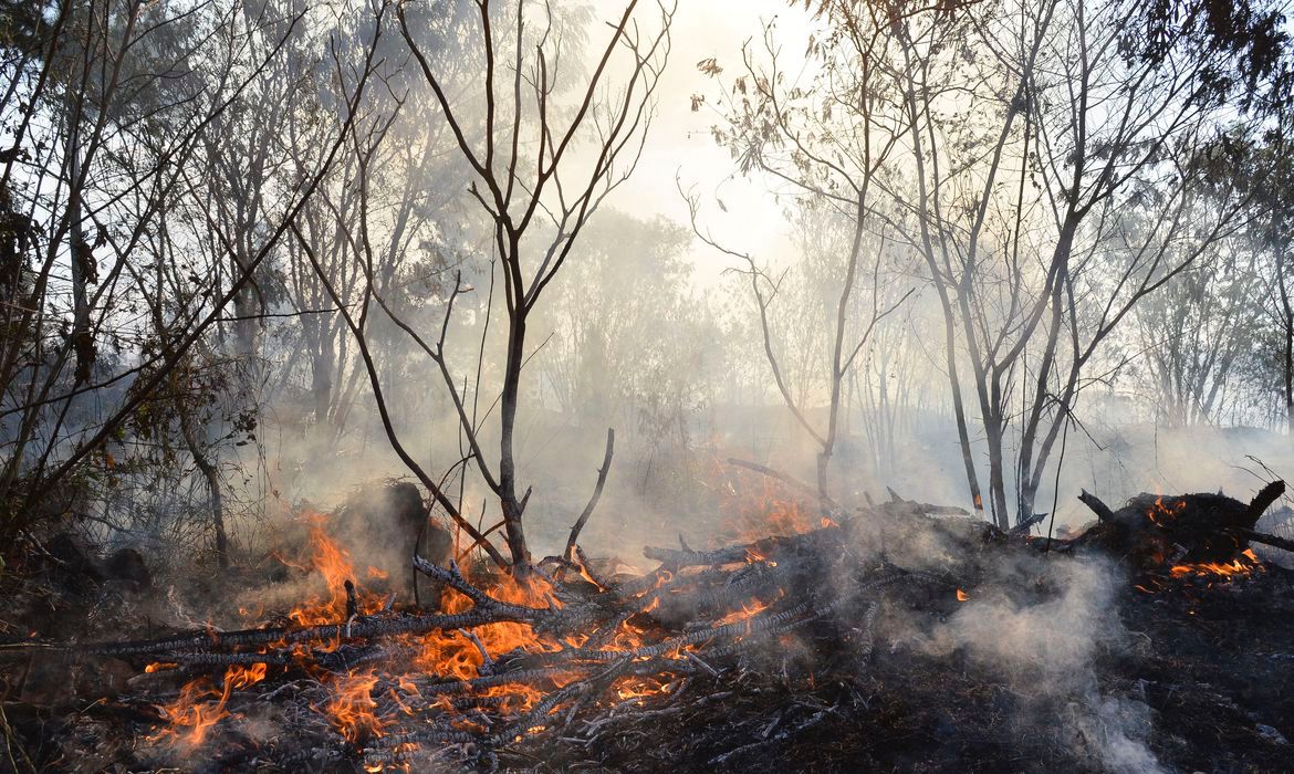 Prevenção é a melhor arma contra incêndios, defende comandante do Corpo de Bombeiros