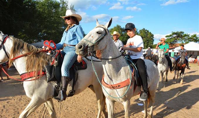Câmara aprova projeto que declara utilidade pública associações de cavalgada em Feira