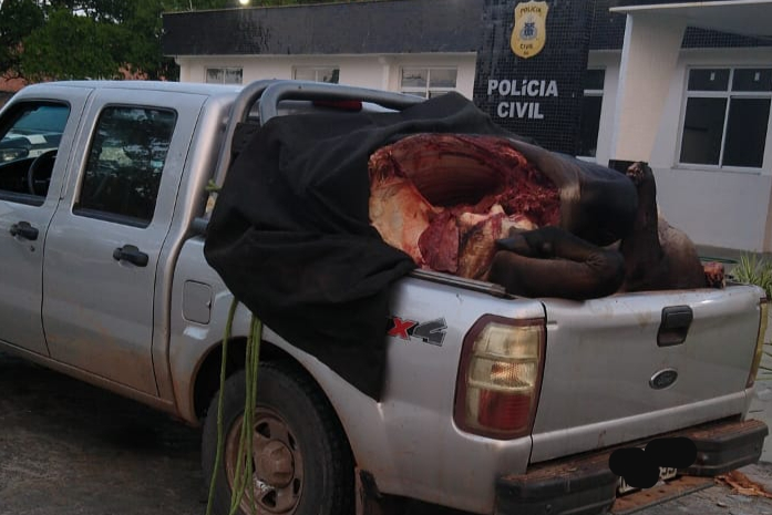 SI da 67ª CIPM segue em busca dos ‘olheiros’ que facilitaram as mortes e furtos de carnes de bois em São Gonçalo dos Campos