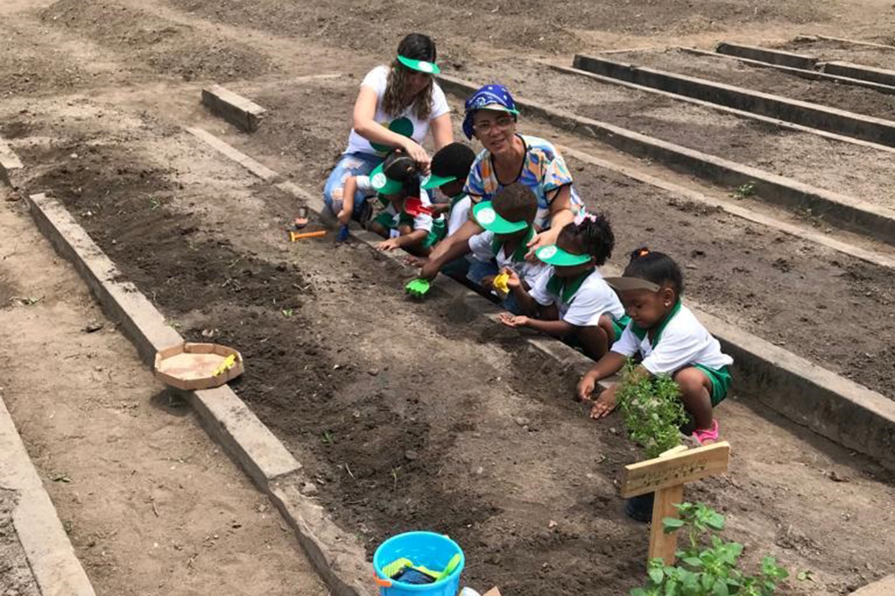 Alunos da Educação Infantil desenvolvem primeira horta na ACF