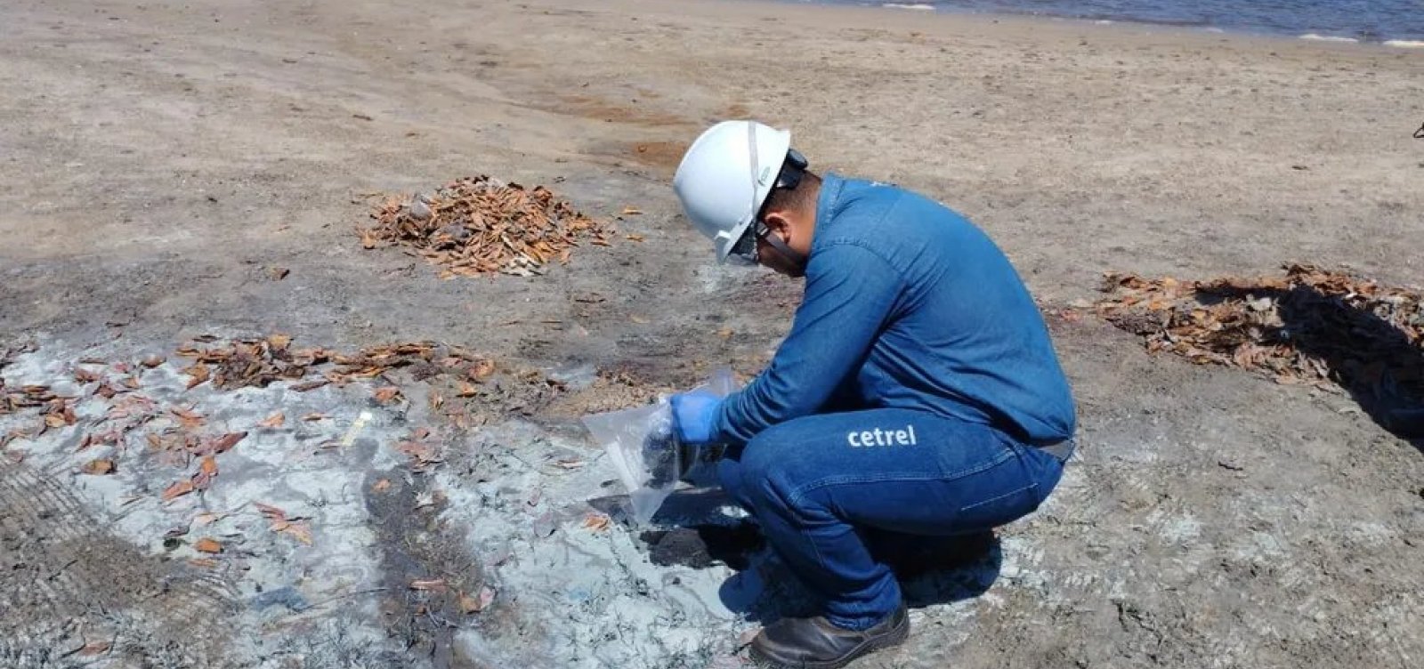 Prefeitura de Camaçari informa que substância esverdeada encontrada na cidade é liberada por algas