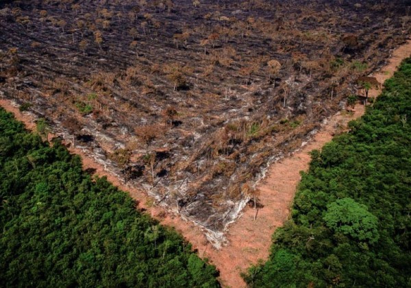 Nasa deseja auxiliar Brasil na preservação da Amazônia