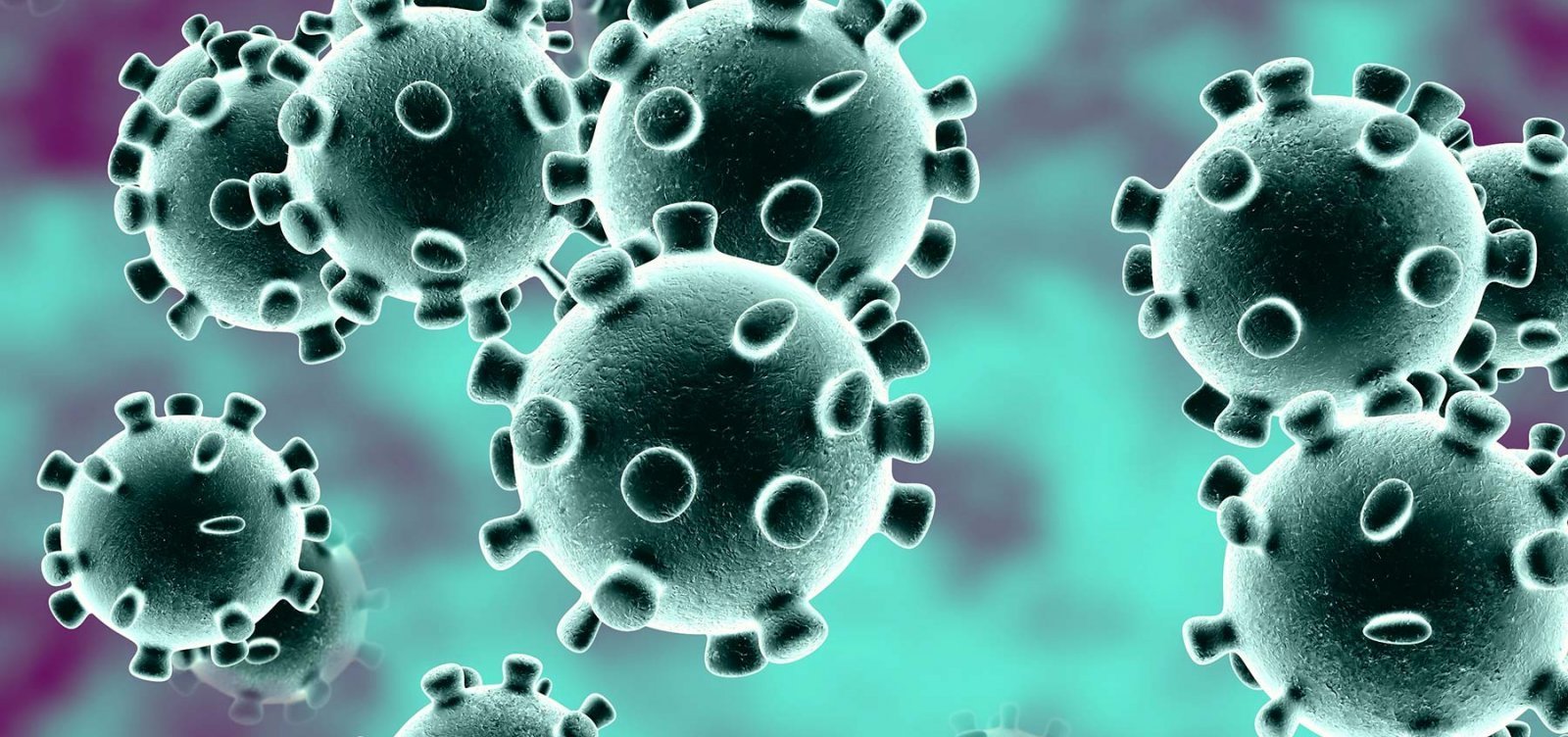 OMS confirma surto de doença letal causada pelo vírus de Marburg
