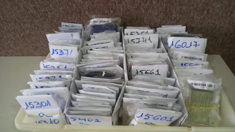 Polícia Militar recupera mais de 500 documentos perdidos no Carnaval