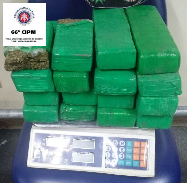 Ação de combate ao crime organizado em Feira resulta na apreensão de 17 kg de maconha