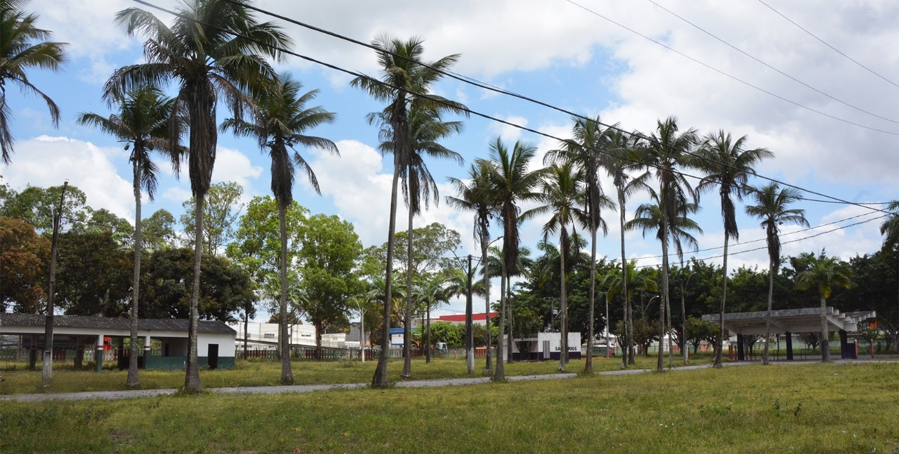 Parque de Exposições fomenta negócios e pecuária durante Expofeira