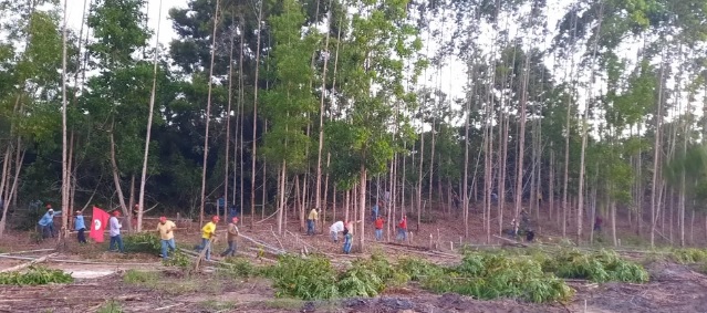 Integrantes do MST desocupam propriedades invadidas no Extremo Sul da Bahia