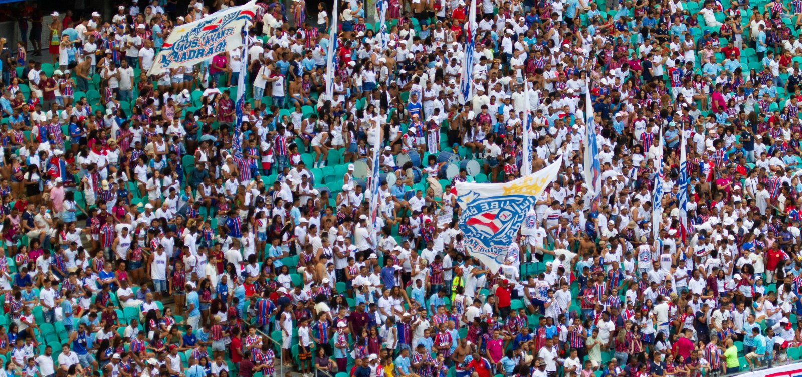 Bahia é o quinto clube em média de público na temporada de 2023, aponta levantamento