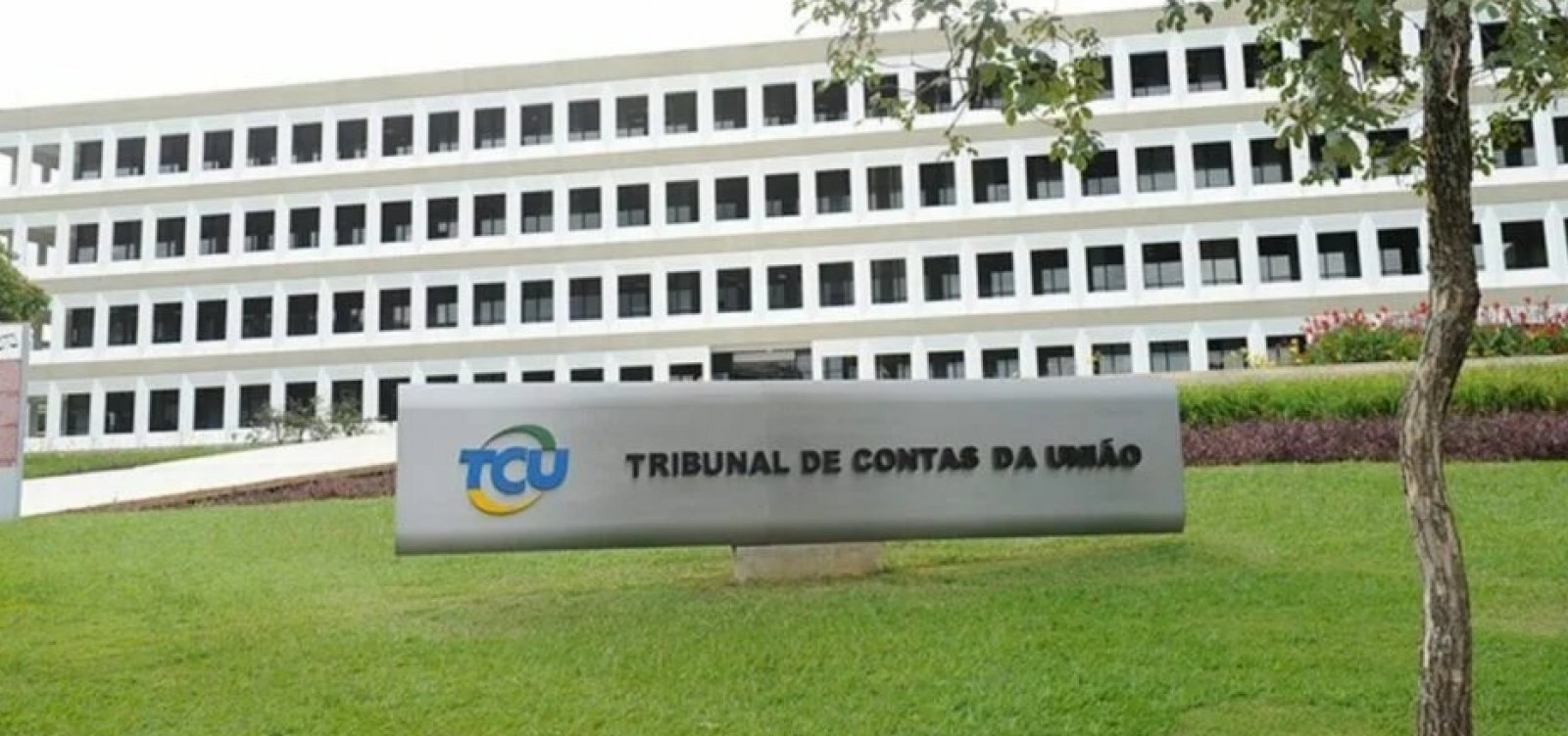 TCU investiga doações de gás de cozinha e cestas básicas feitas pela Petrobras durante período eleitoral