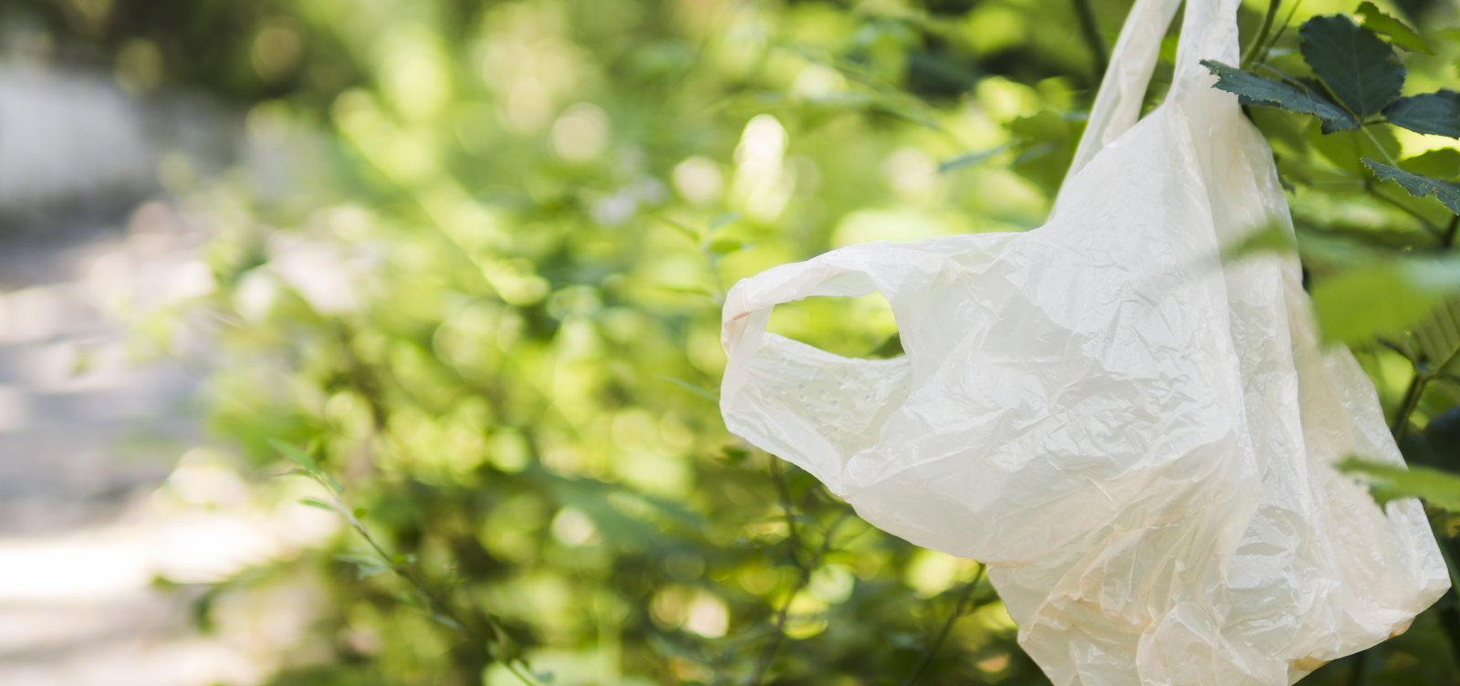 Distribuição de sacos plásticos não recicláveis é proibida em Salvador