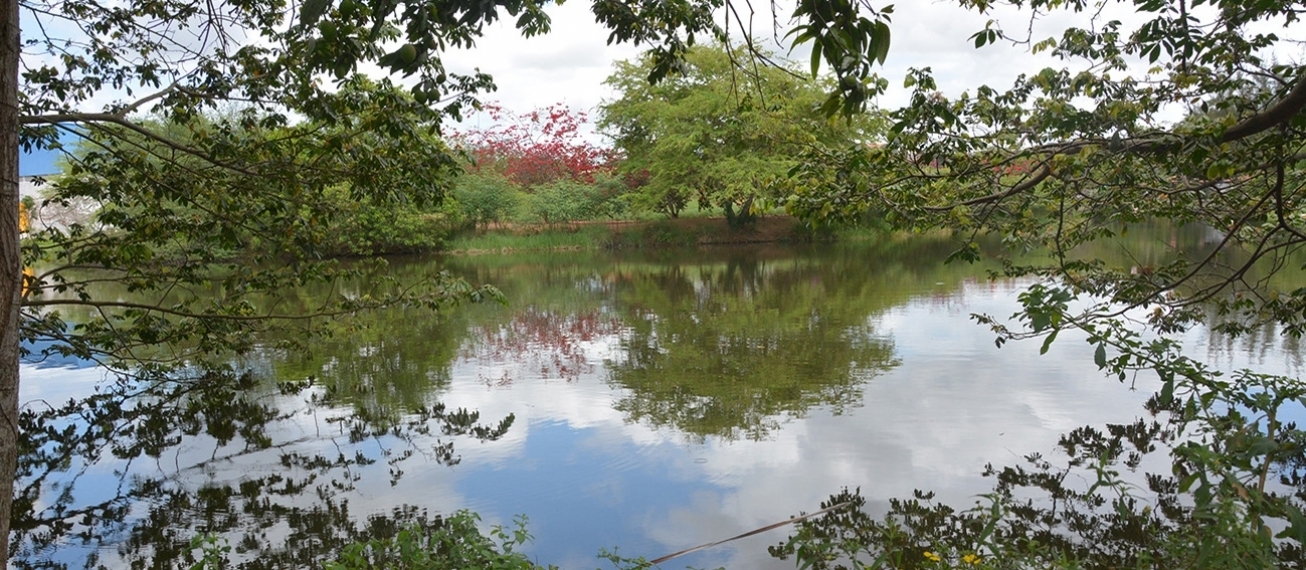 Parque da Lagoa tem programação alusiva ao Dia Mundial do Meio Ambiente domingo