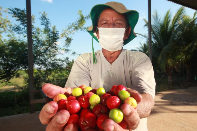 Seminário debate estratégias para o desenvolvimento econômico rural em Feira de Santana 