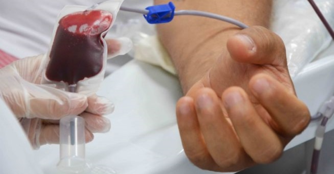 Jovens a partir dos 16 anos podem realizar doação de sangue 