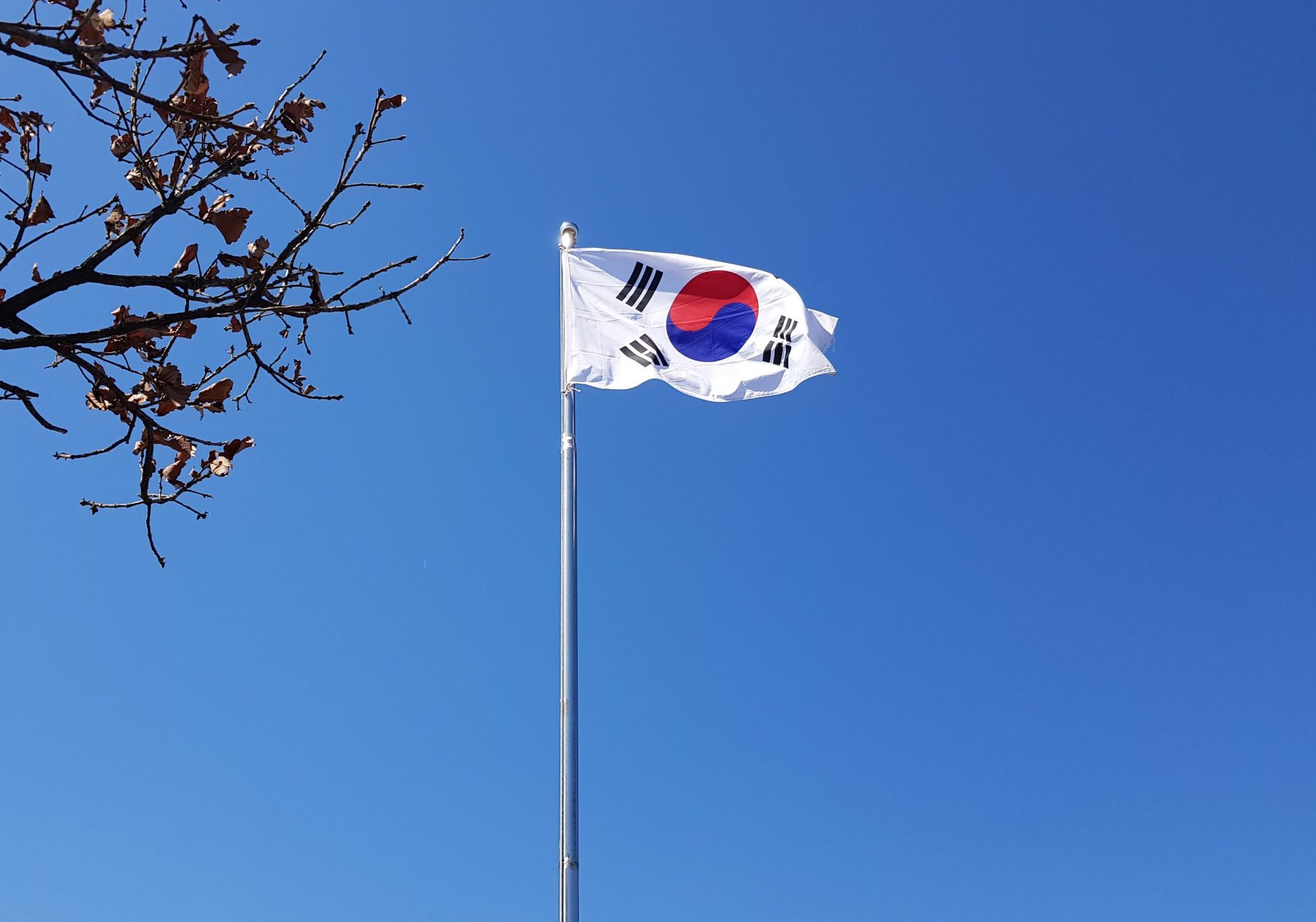Mudança em contagem de idade deixa sul-coreanos pelo menos um ano mais jovens