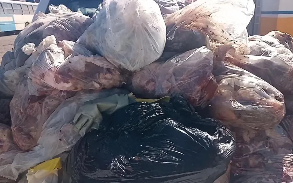 Uma tonelada de carne imprópria para consumo é apreendida no interior da Bahia 