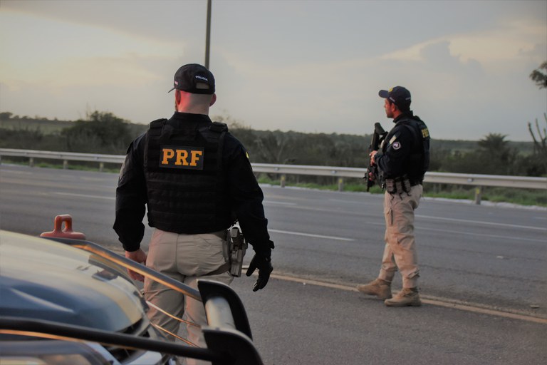 PRF apreende caminhão que transportava carga viva irregularmente em Feira de Santana