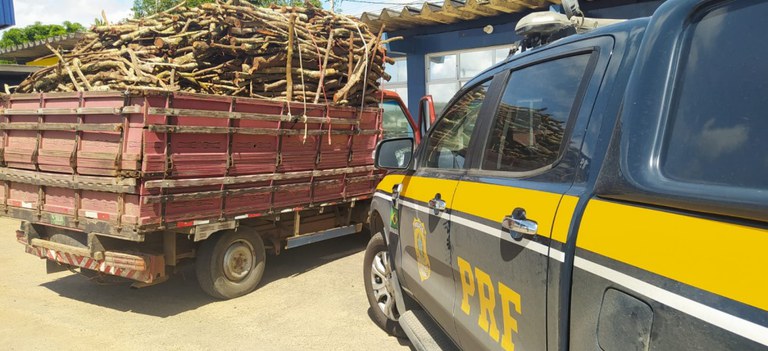 PRF realiza apreensão de madeira transportada ilegalmente 