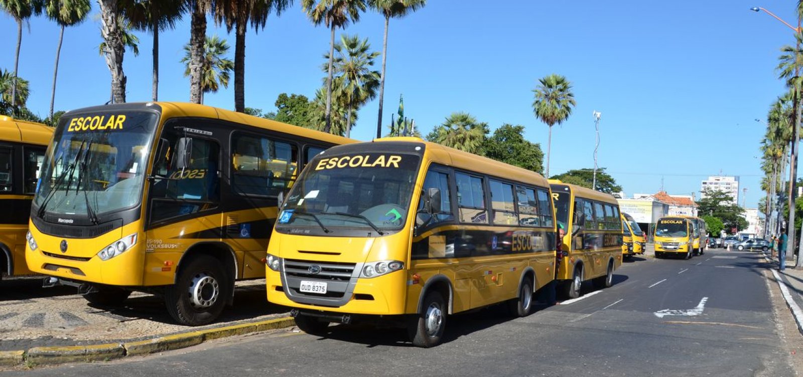 Ministro da Educação anuncia reajuste de 16% para o transporte escolar