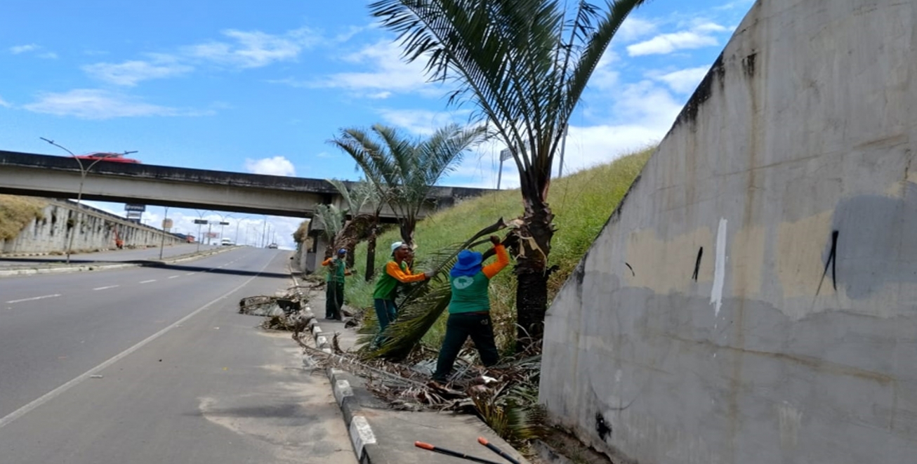 Prefeitura de Feira intensifica limpeza nos viadutos