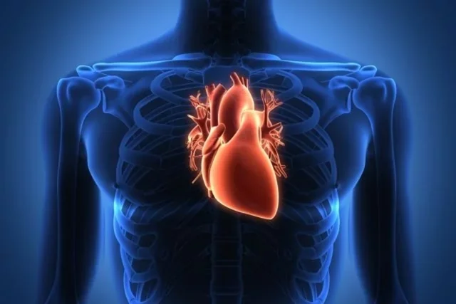 Doenças do coração matam quase um terço dos brasileiros