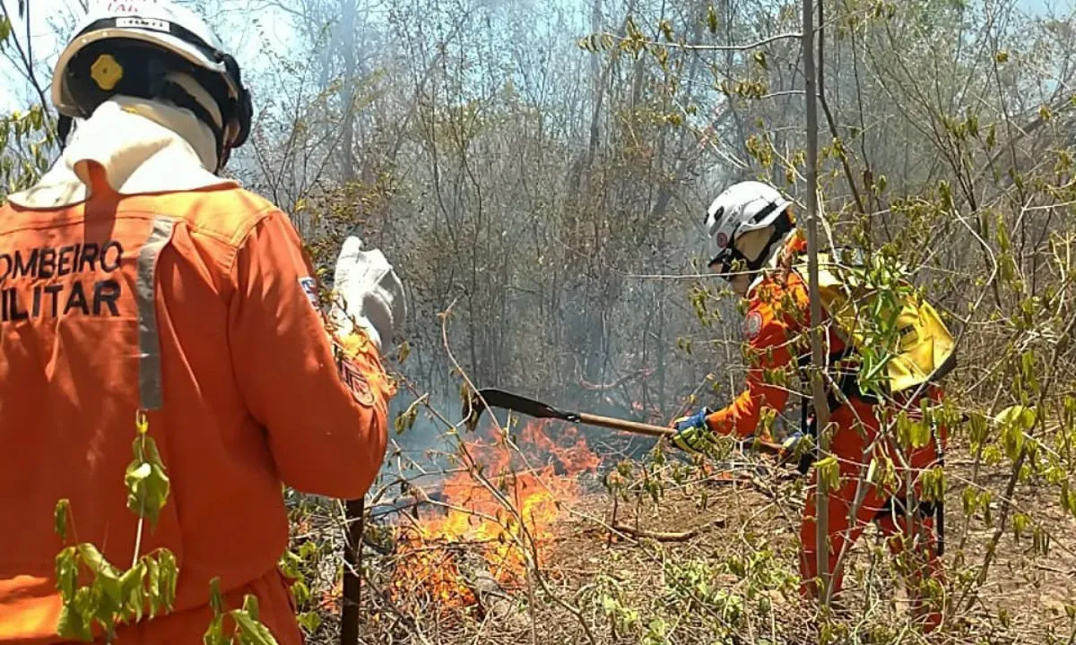 Cerca de 200 bombeiros combatem a incêndios florestais pela Bahia