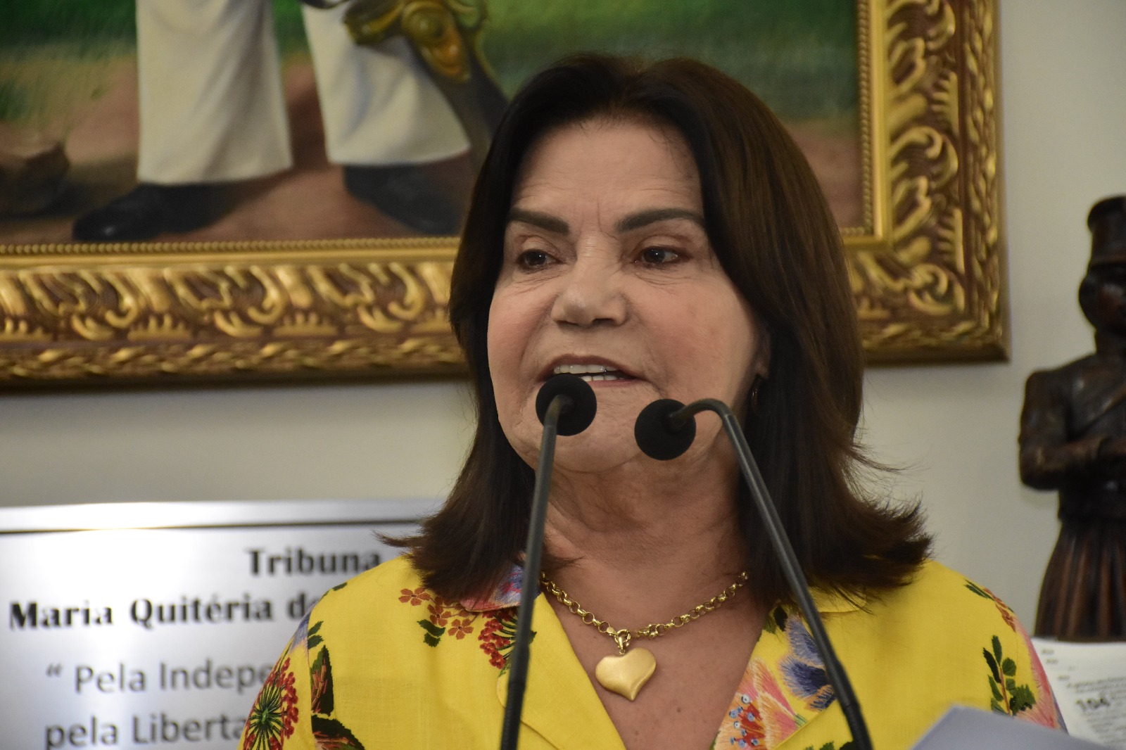 Eremita diz que prefeito não cumpre a lei: pedido de empréstimo e Orçamento sem especificações