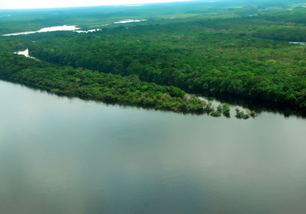Senado aprova projeto que flexibiliza regularização de terras na Amazônia