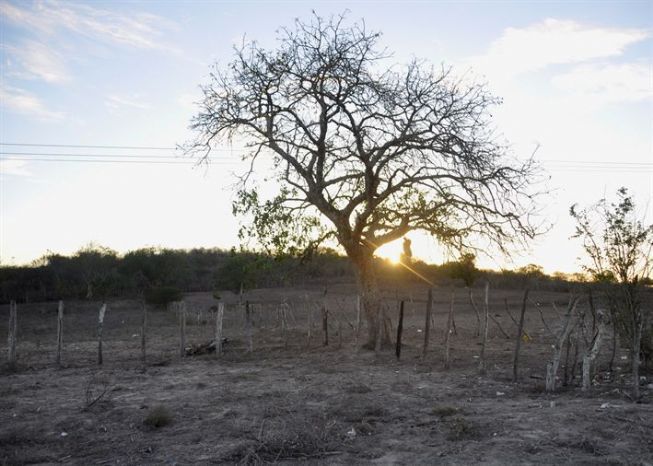 Moradores de povoados em Feira de Santana enfrentam escassez de água há 2 meses