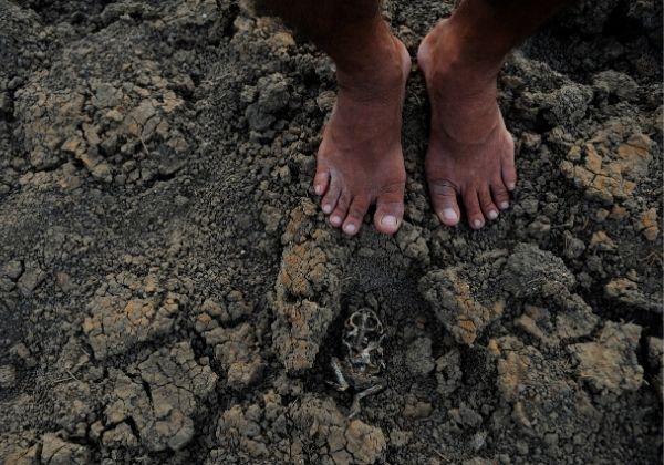 Ao menos sete cidades baianas entram em situação de emergência por causa da seca