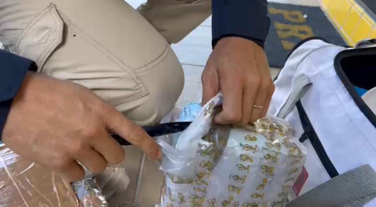 Polícia prende passageiro de ônibus que carregava drogas em mochila
