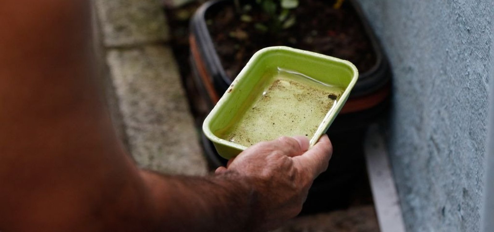 Casos de dengue na Bahia registram crescimento de 33% em 2023