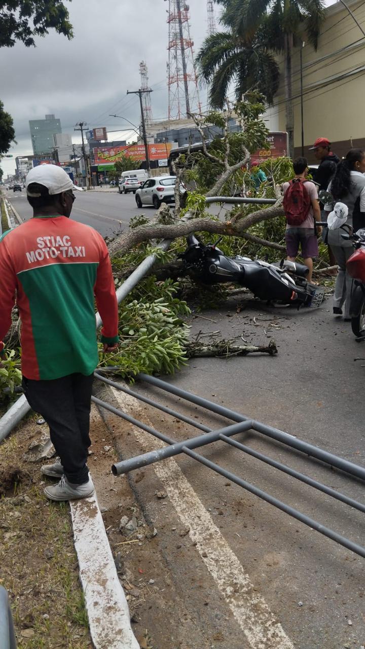Árvore cai e atinge motociclista na Avenida Getúlio Vargas