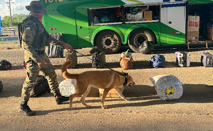 Operação conjunta flagra jovem com drogas em ônibus de turismo em Feira