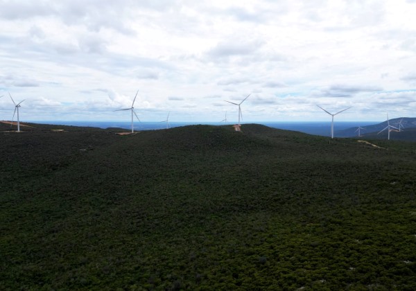 Novo complexo eólico deve manter Bahia na liderança nacional da produção de energia renovável