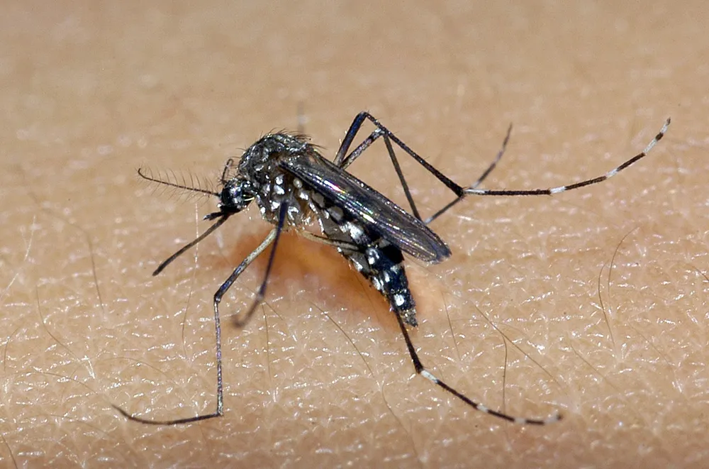 Bahia registra nova morte por dengue