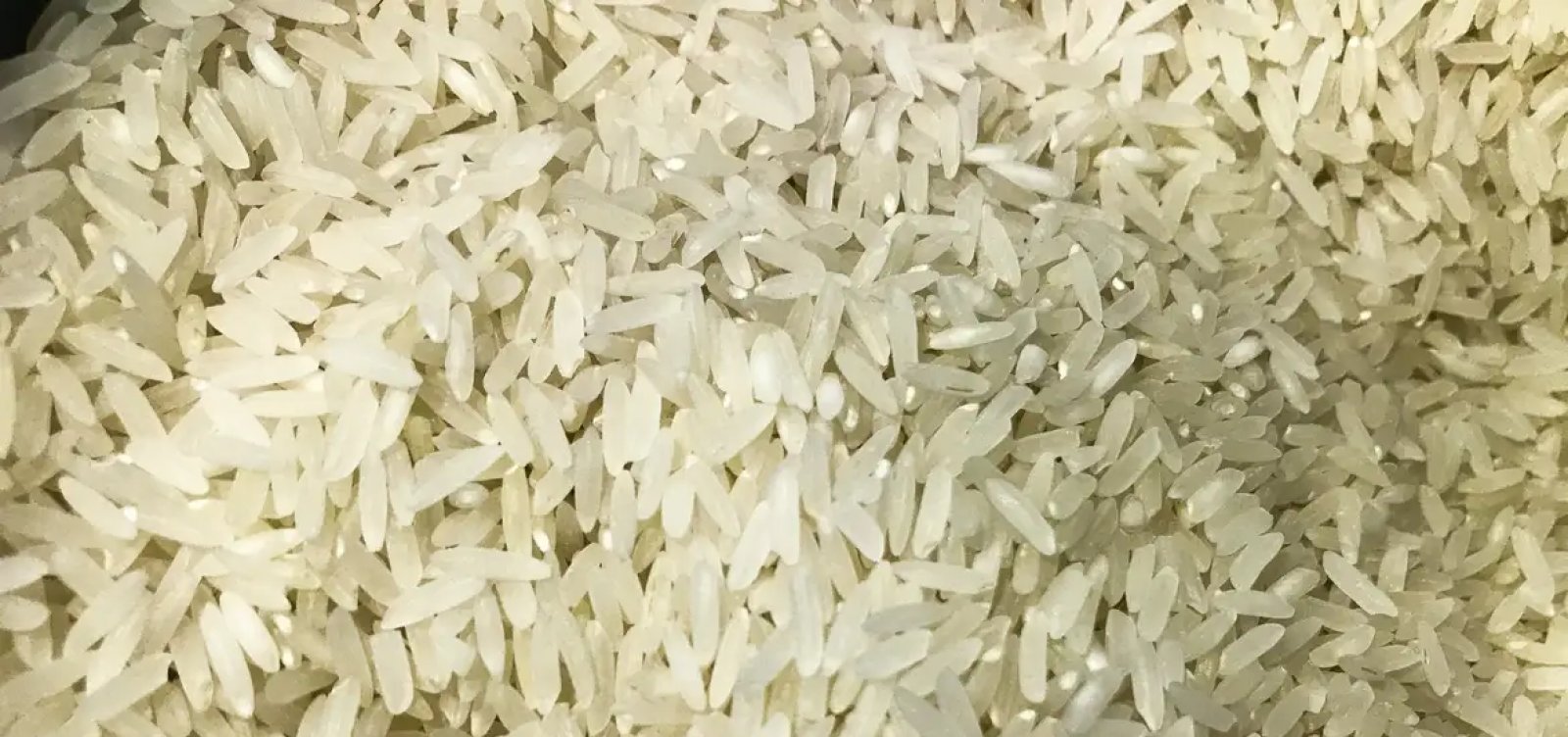 Justiça Federal de Porto Alegre suspende leilão para compra de arroz importado