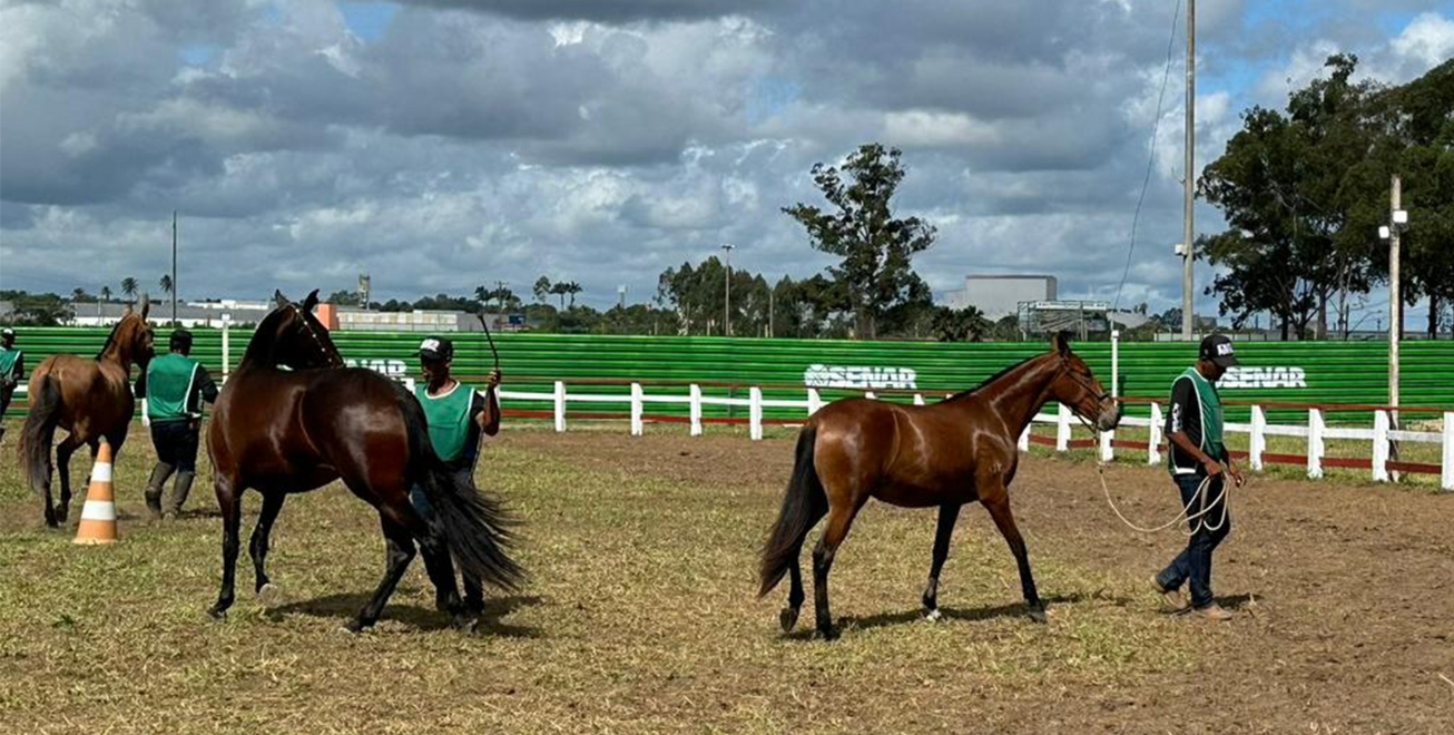 Parque de Exposições recebeu cerca de 40 mil pessoas para a Expo Portal