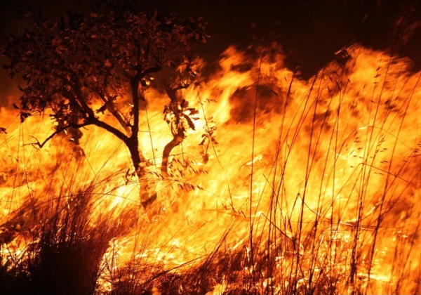 Polícia Federal já tem 31 inquéritos para investigar incêndios pelo país