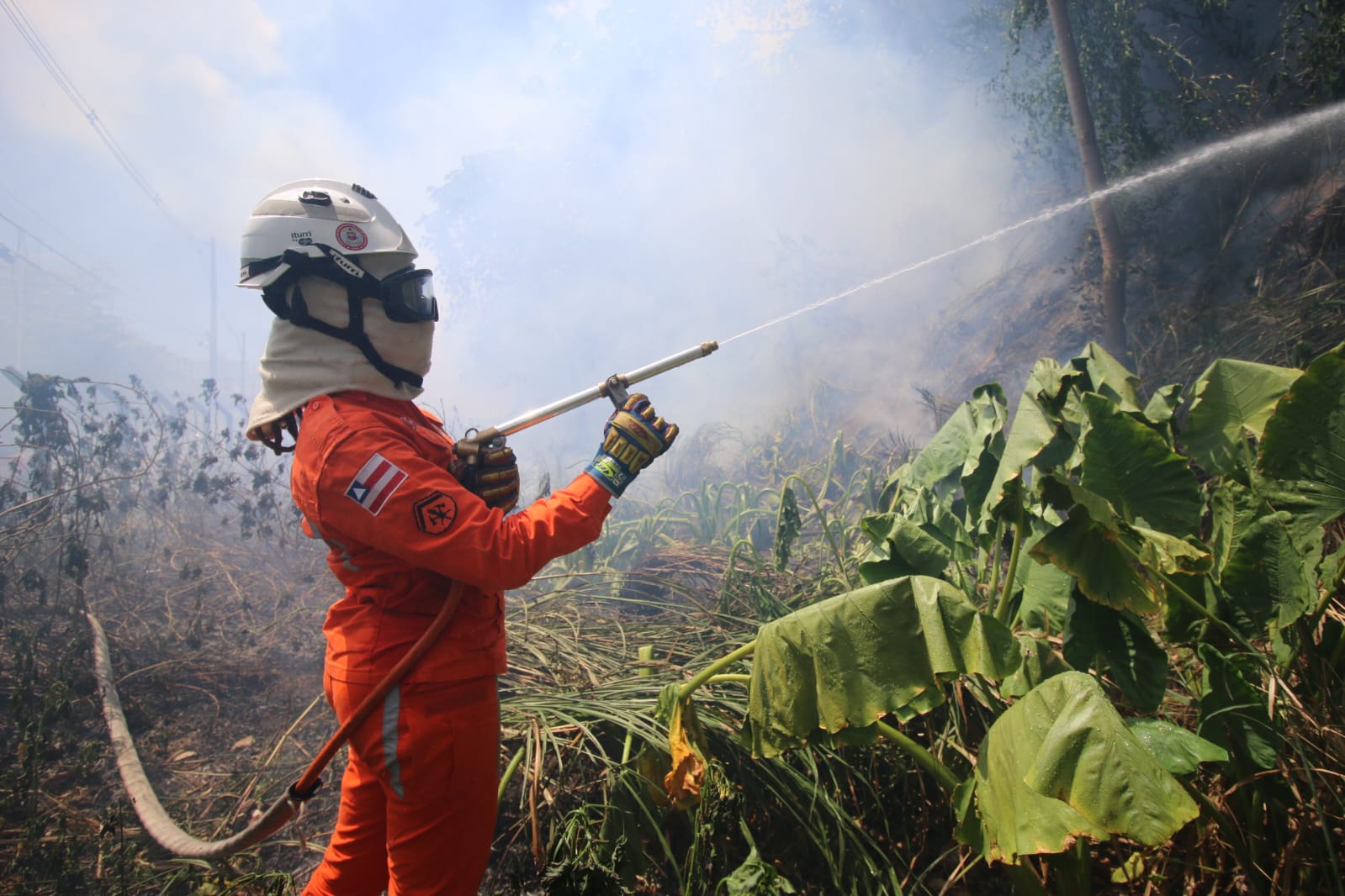 Bombeiros reforçam combate e debelam 422 incêndios florestais na Bahia