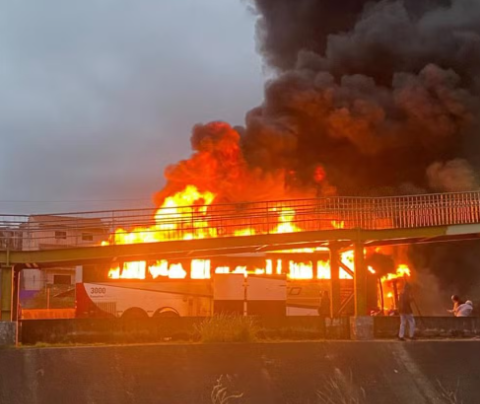 Emboscada de palmeirenses termina com 1 cruzeirense morto e 17 feridos