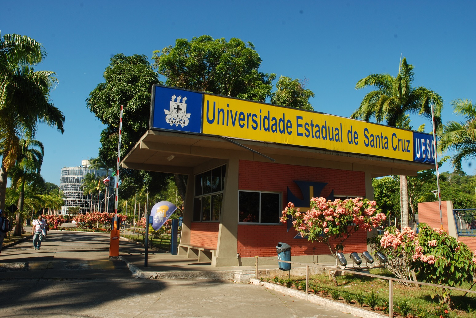 Uesc abre 700 vagas para cursos de graduação à distância; veja prazos e como fazer inscrição