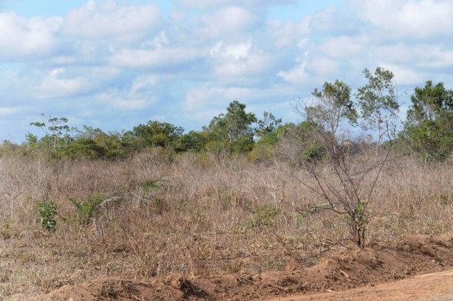 Governo Federal reconhece situação de emergência por estiagem em Feira de Santana