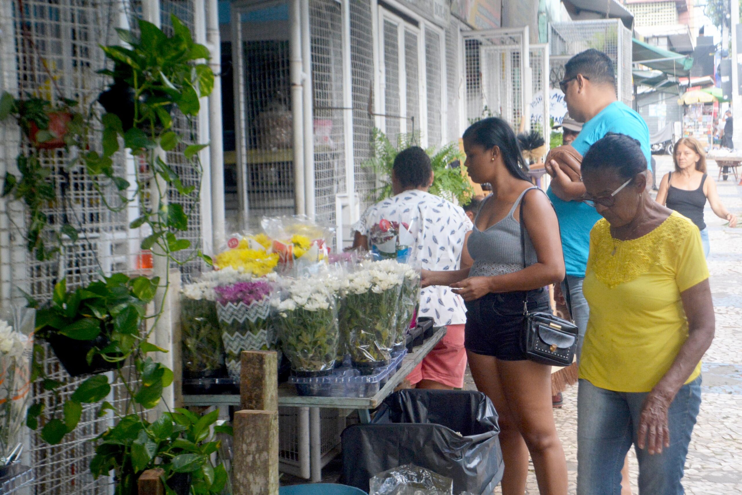 Dia de Finados impulsiona venda de flores